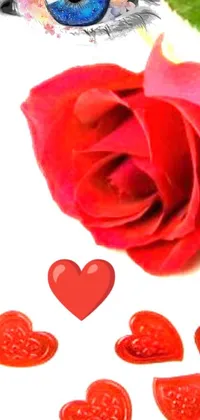 Flower Plant Red Live Wallpaper