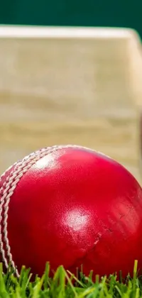 Grass Sports Equipment Magenta Live Wallpaper