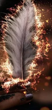 Nature Art Fire Live Wallpaper