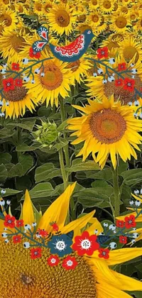Flower Plant Petal Live Wallpaper