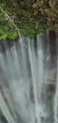 Nature Water Waterfall Live Wallpaper