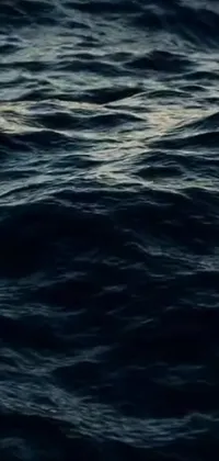 Water Lake Electric Blue Live Wallpaper