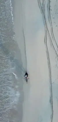 Water Wood Snow Live Wallpaper