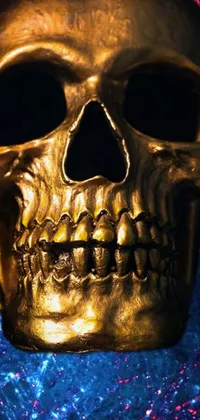 Light Jaw Sunglasses Live Wallpaper