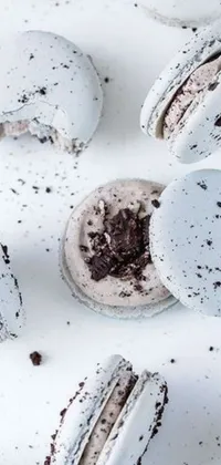 Plant Food Dish Live Wallpaper