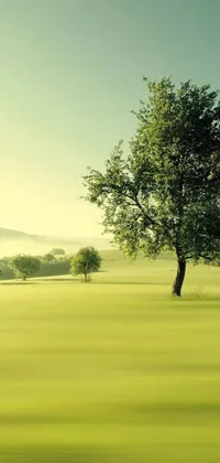 Nature Plant Outdoor Live Wallpaper