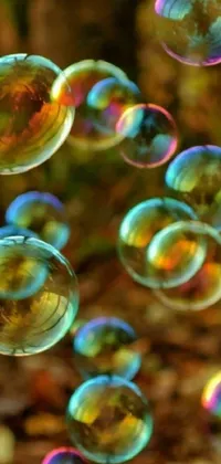 Water Colorful Sphere Live Wallpaper