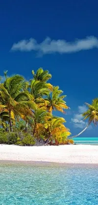 Nature Water Outdoor Live Wallpaper