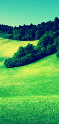Nature Plant Grass Live Wallpaper