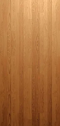 Wall Brown Door Live Wallpaper
