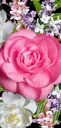 Flower Plant Bloom Live Wallpaper
