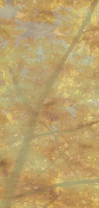 Plant Brown Abstract Live Wallpaper