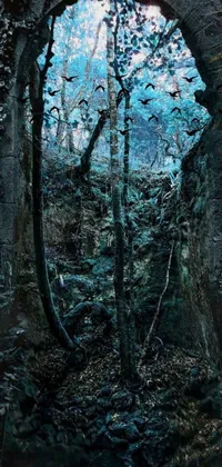 Nature Outdoor Tree Live Wallpaper