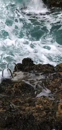 Nature Water Outdoor Live Wallpaper