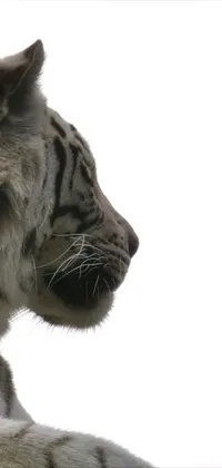 Gory Animal Carnivore Live Wallpaper