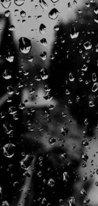 Nature Water Droplet Live Wallpaper