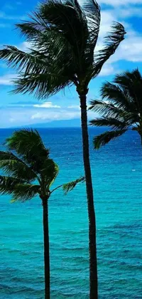 Water Plant Outdoor Live Wallpaper