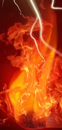 Nature Orange Fire Live Wallpaper