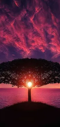 Nature Water Outdoor Live Wallpaper