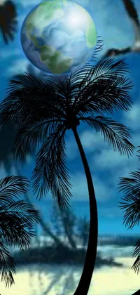 Plant Outdoor Tree Live Wallpaper
