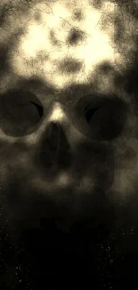 Face Skull Live Wallpaper