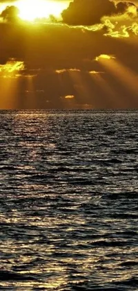 Nature Water Outdoor Live Wallpaper