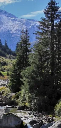 Nature Outdoor Tree Live Wallpaper