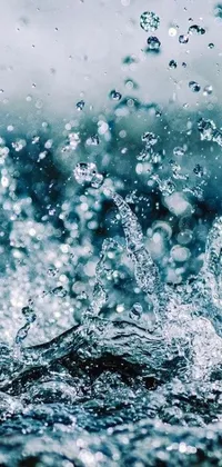 Nature Water Droplet Live Wallpaper