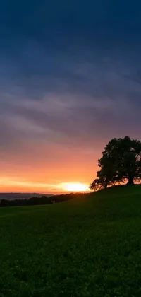 Nature Grass Outdoor Live Wallpaper