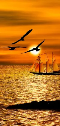 custom_slideshow_1606330880360 Live Wallpaper