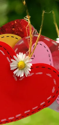 clw_1676350177583 Live Wallpaper