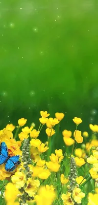 yellow medow  Live Wallpaper