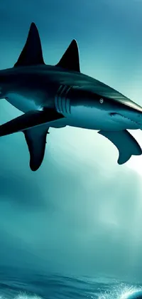 Water Fin Shark Live Wallpaper