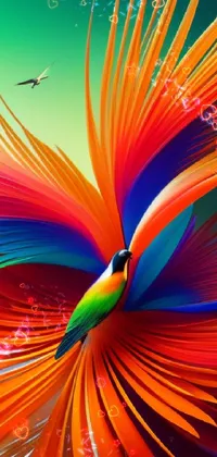 Light Nature Orange Live Wallpaper