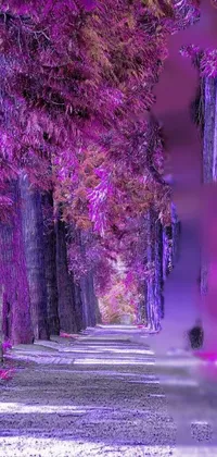 Purple Violet Woody Plant Live Wallpaper