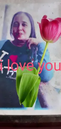 Flower Plant Petal Live Wallpaper