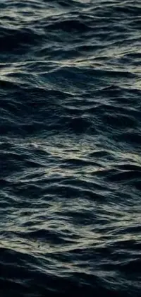 Water Liquid Fluid Live Wallpaper