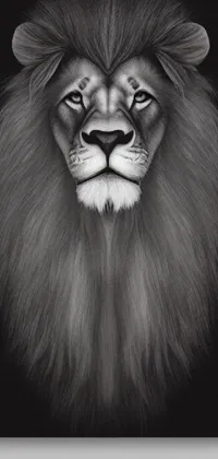 Felidae Carnivore Whiskers Live Wallpaper
