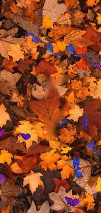 Brown Plant Leaf Live Wallpaper