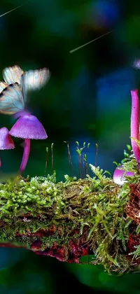 mushroom 2 Live Wallpaper