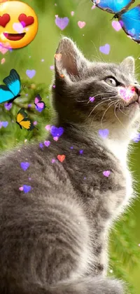 Cat Plant Vertebrate Live Wallpaper