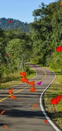 Plant Sky Road Surface Live Wallpaper