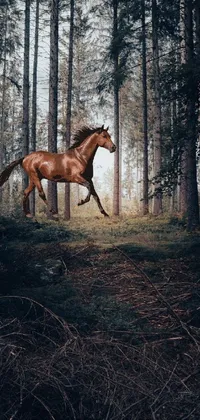 horse in a field  Live Wallpaper