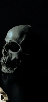 Spooky skulls Live Wallpaper