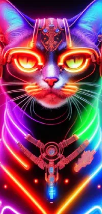 Cat Vertebrate Light Live Wallpaper - free download