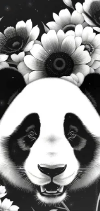 Panda Live Wallpaper