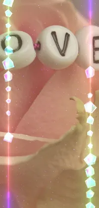 jj Live Wallpaper