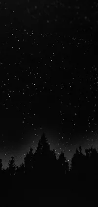 Starry Night Sky Live Wallpaper - free download