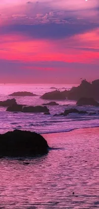 pink fall Live Wallpaper