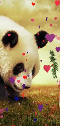 panda Live Wallpaper